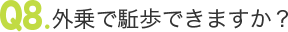 外乗で駈歩できますか？