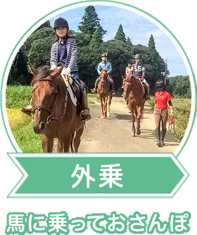 千葉県の乗馬クラブなら外乗もできる千葉ライディングパークへ 千葉県の乗馬クラブなら外乗もできる千葉ライディングパークへ